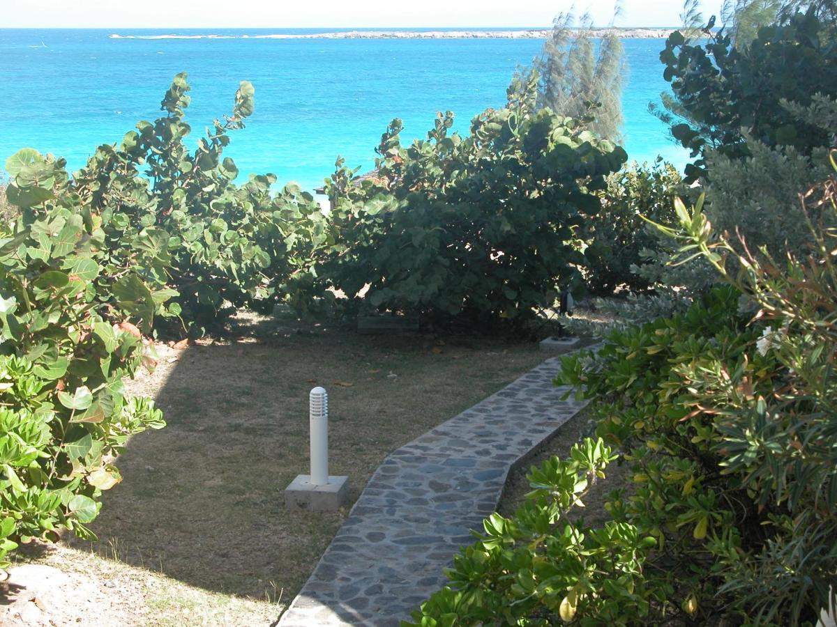 Top Floor Unit 520 Ft2 - 48 M2 With Stunning Dominant View On Ocean, St Barth, Orient Bay Cul de Sac Eksteriør bilde